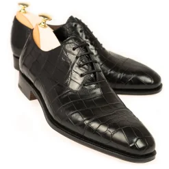 ALLIGATOR OXFORDS 80386 RAIN
