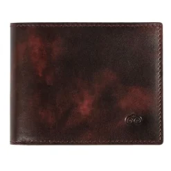 CARTERA PEQUEÑA