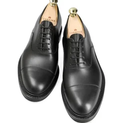 ZAPATOS OXFORD PUNTERA RECTA 732 FOREST
